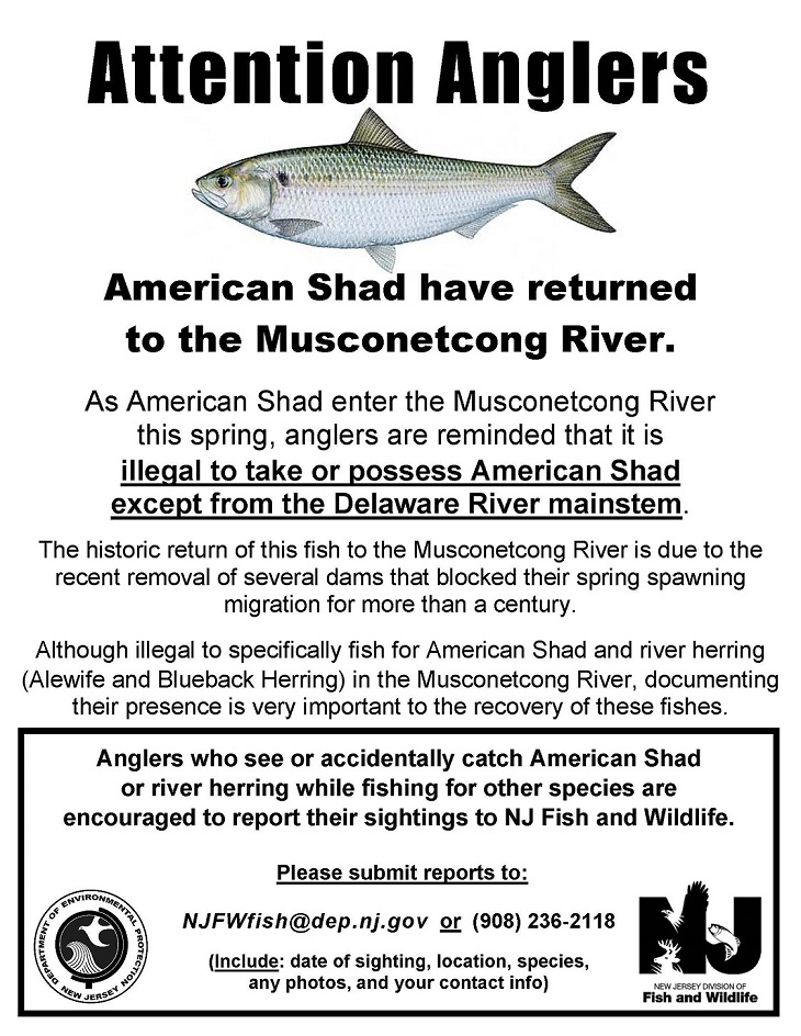 Musconetcong R shad sign resized.jpg