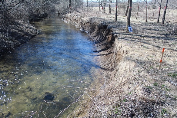 Lopat - Canal section upper.jpg