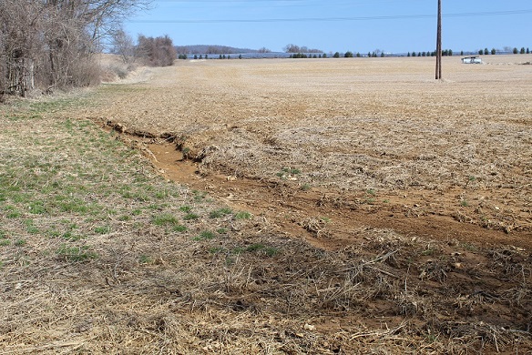 Lopat - Stryker section farm field eroding into creek.jpg