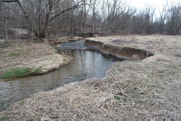 Lopat - Lock St scalloped bank.jpg