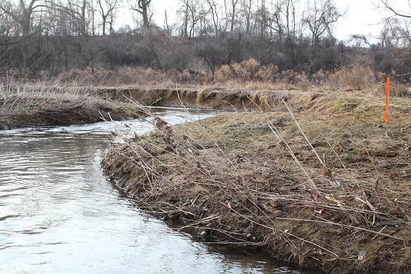 Lopat - Lock St section lower banks.jpg