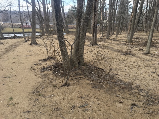 SBR - sediment in floodplain.jpg