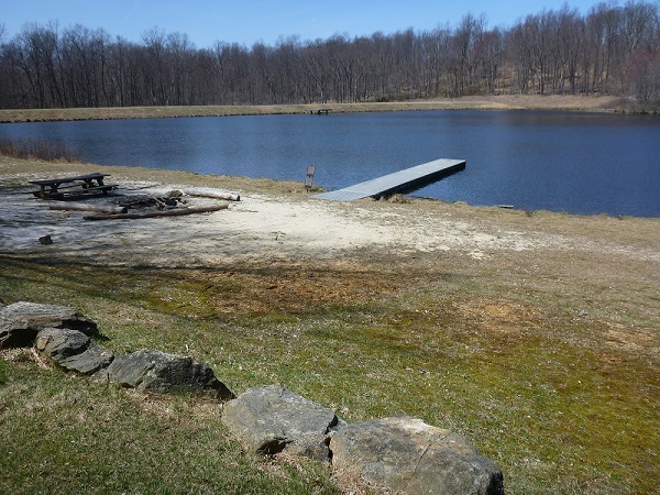 Pond overview photo resized.jpg