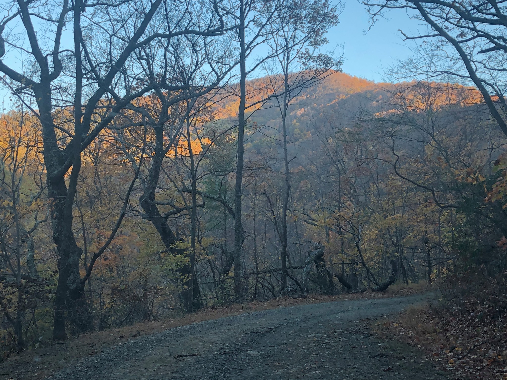 shenandoah mountains.jpg