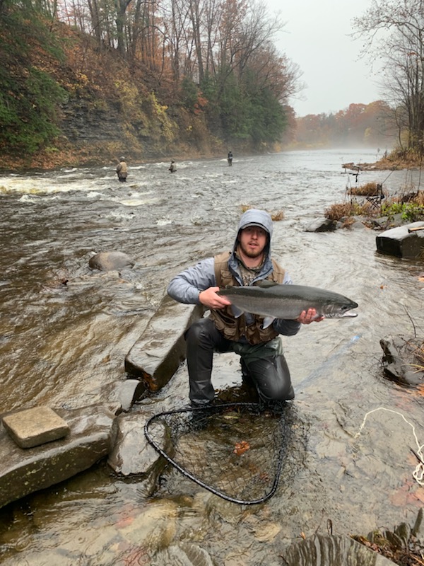 17 lb steelhead