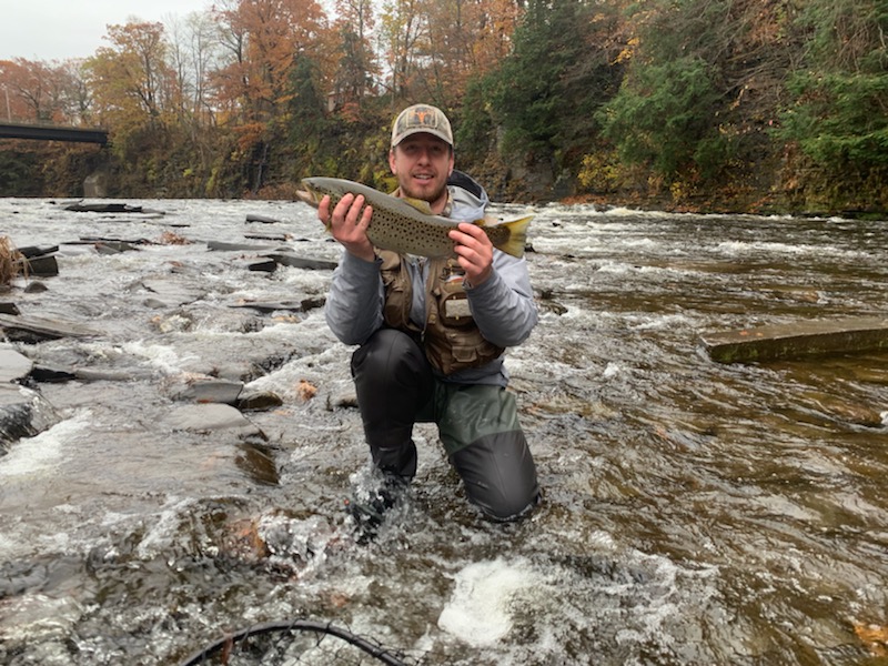 female brown