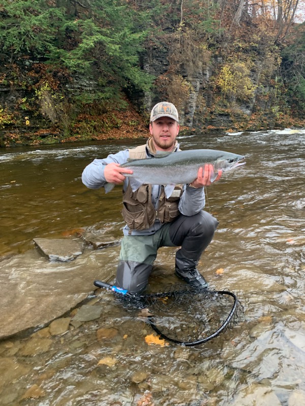 nice steelhead. No weight or measurement