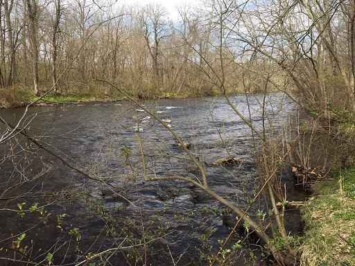 Musky A fram downstream stone dam resized.jpg