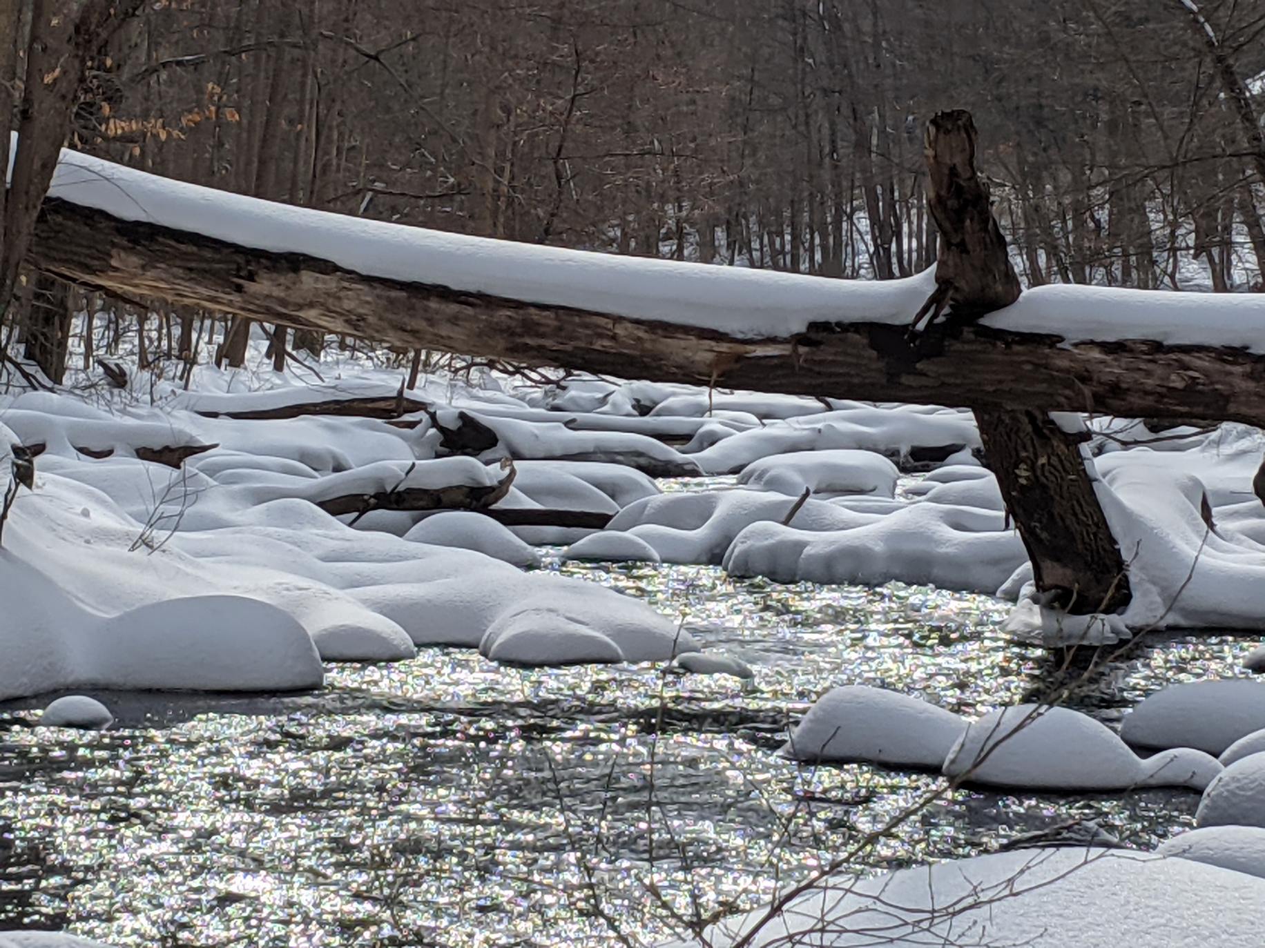 The upper reaches of the Black amid snowcovered rocks