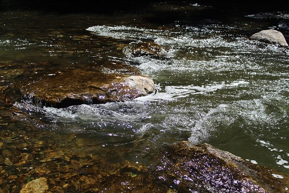 Lower Pool shear closeup resized - Copy.jpg