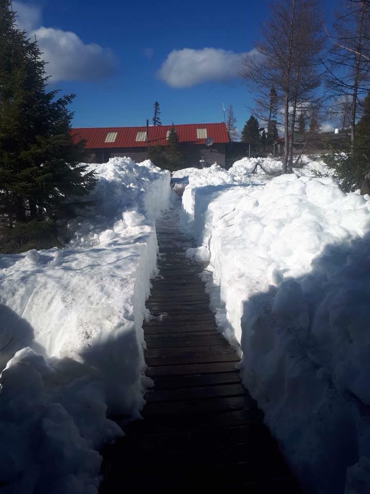 snow at McKenzie River Lodge 2.jpg