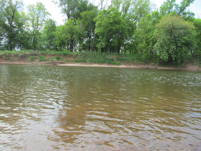IMG_2223.JPG