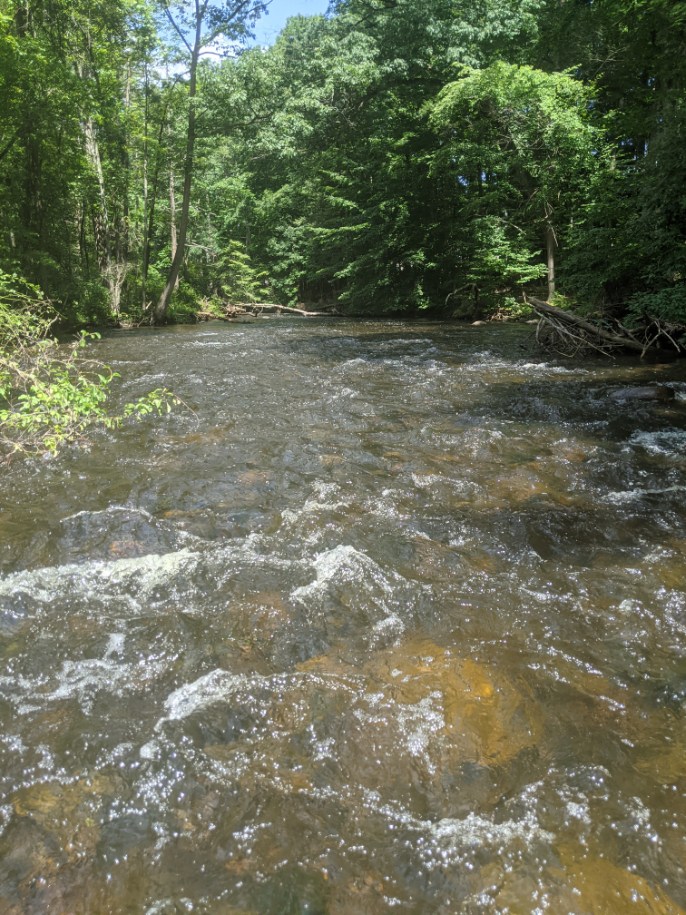 image000002 (10).jpg