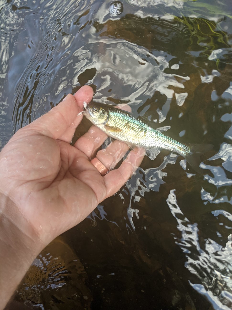 image000000 (41).jpg