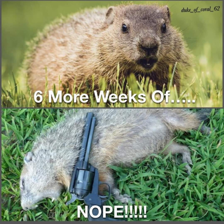 Groundhog day.jpg